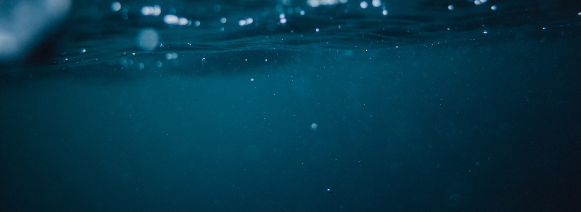 Szkoła Pływania w Nowym Sączu